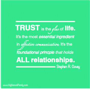 Quotes About Relationships And Trust trust is the glue of life.