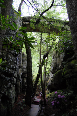 Detroit Rock City Movie Quotes Rock city! not detroit rock