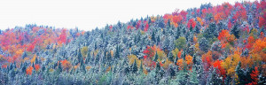 Adirondack Autumn Mountains...