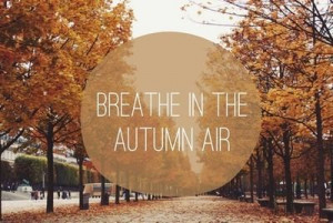 47) fall quotes | Tumblr