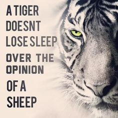 haven't lost sleep yet and I don't plan to anytime soon. More