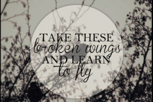 Take these broken wings and learn to fly.