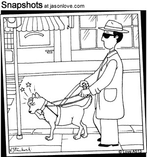 Related Pictures funny pictures of big noses laughing world