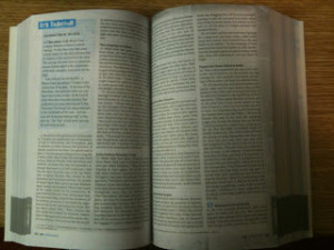 ... youth bible also contains new introductions to each biblical book a