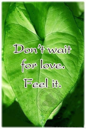 Advice Quote: Don’t Wait For Love…