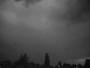 bad weather, black and white, dark, lighting, sky, trees