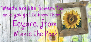 Winnie The Pooh Quotes Eeyore