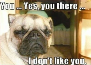 You yes you there – I don’t like you