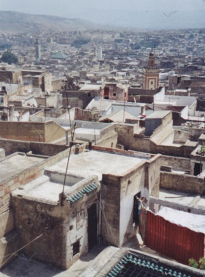 handmade reproduction of rooftops new york city rooftop gardens