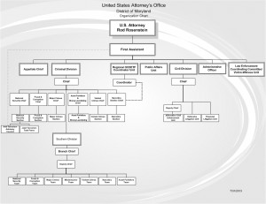United States Government Organizational Chart