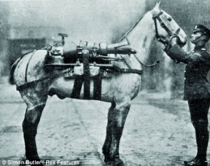 Churchill's mission to rescue the war horses and how he made officials ...