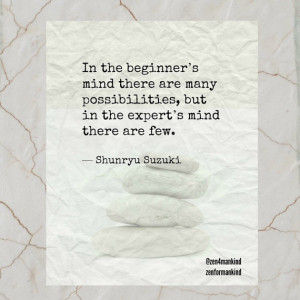 ... Life Quotes.In the beginner’s mind there are many possibilities