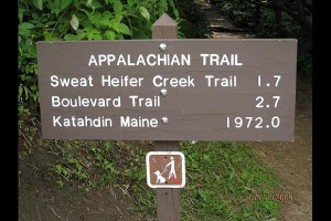 Appalachian Trail Wallpaper