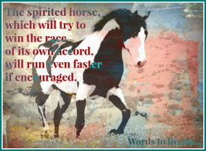 Meaningful Horse Quotes Horse quote by ovid for the