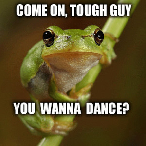 Funny Frog Photo