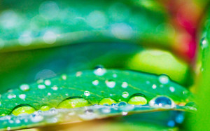 Funny Quotes Contact Dmca