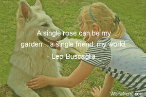 single rose can be my garden… a single friend, my world.