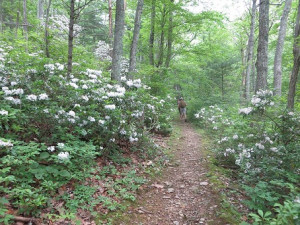 freshness into you, and the storms their energies, while cares will ...