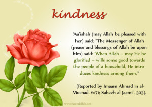 Kindness (Prophet Muhammad ﷺ Quote Reported by `Aisha)