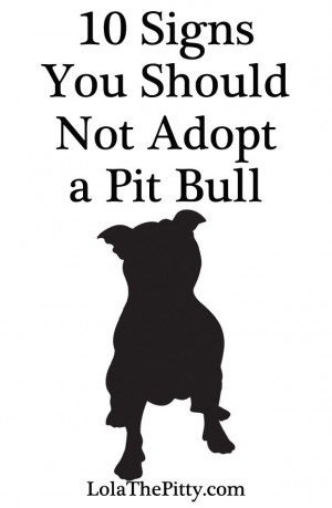 ... : http://www.lolathepitty.com/10-signs-you-shouldnt-adopt-a-pit-bull