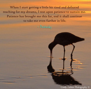 reaching for my dreams, I rest upon patience to sustain me. Patience ...