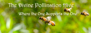 The Divine Pollination Hive – A Gnostic Spiritual Community