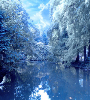 Pond In Winter