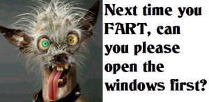 Next time you fart, open the windows