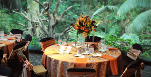 Zoo » Gallery ¦ Map Also known as: Henry Doorly Zoo; Omaha. Zoo ...