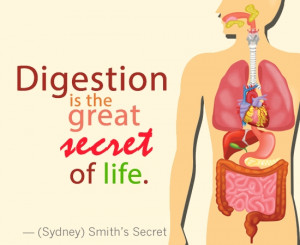 Digestion is the great secret of life.