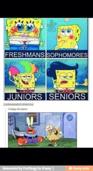College Freshman Meme, Cute Spongebob Quotes, High School Freshman ...