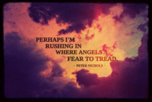 Perhaps i'm rushing in where angels fear to tread