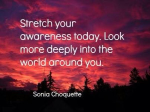 Via Sweet Serendipity