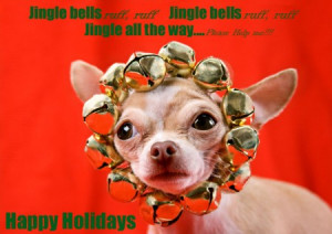 funny dog christmas cards