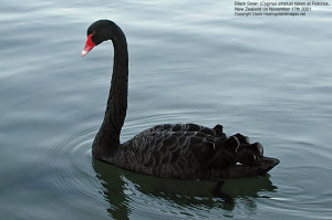 Inductive Bias The Set...