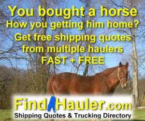 horse transport quotes multiple haulers horse transporters horse ...