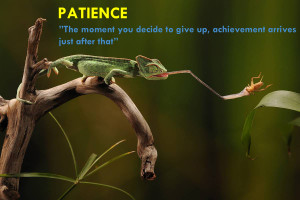 patience-quotes-hd-wallpaper-27.jpg