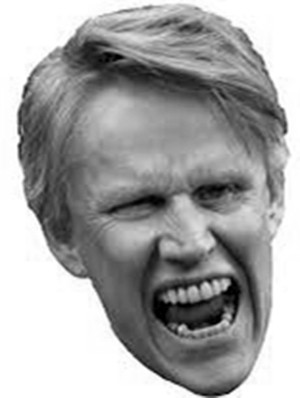 Quotes of the day: Gary Busey