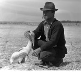 Teddy Roosevelt Hunting Quotes Theodore roosevelt timeline