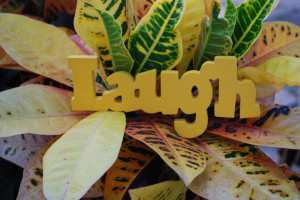 Importance of Laughter: Did You Laugh Today?