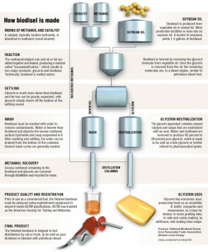 Biodiesel_production Picture Slideshow