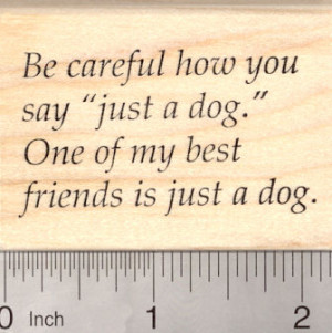 animal rescue sayings item d 23709 pet adoption