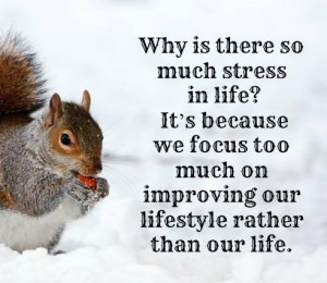Why is there so much stress in life? It's because we focus too much on ...