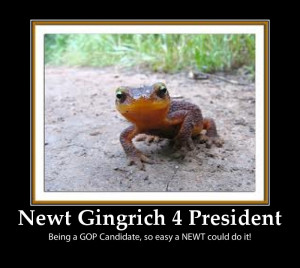 Newt Gingrich For President Bumper Stickers