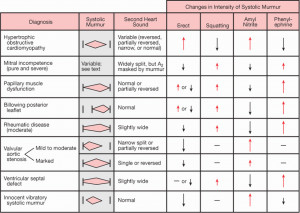 Search Results for: Heart Murmur Sounds