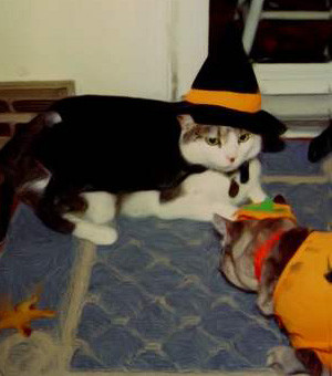 can you get side aches while lying down