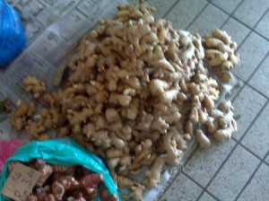 Fresh ginger roots for sale - “Love is the essence of human ...