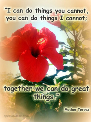 do things you cannot, you can do things I cannot; together we can do ...