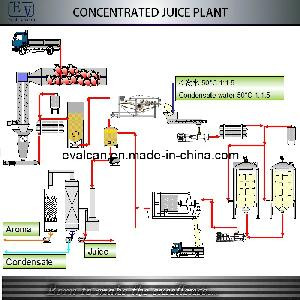 Fruit and Vegetable Concentrated Juice Processing Machinery (CJP ...