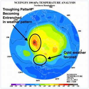 chicago weather forecast local